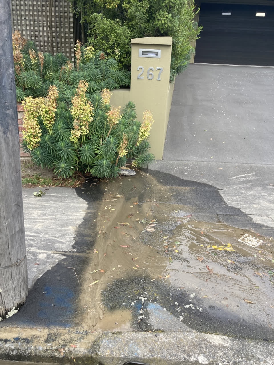 The photograph attached to this water leak report