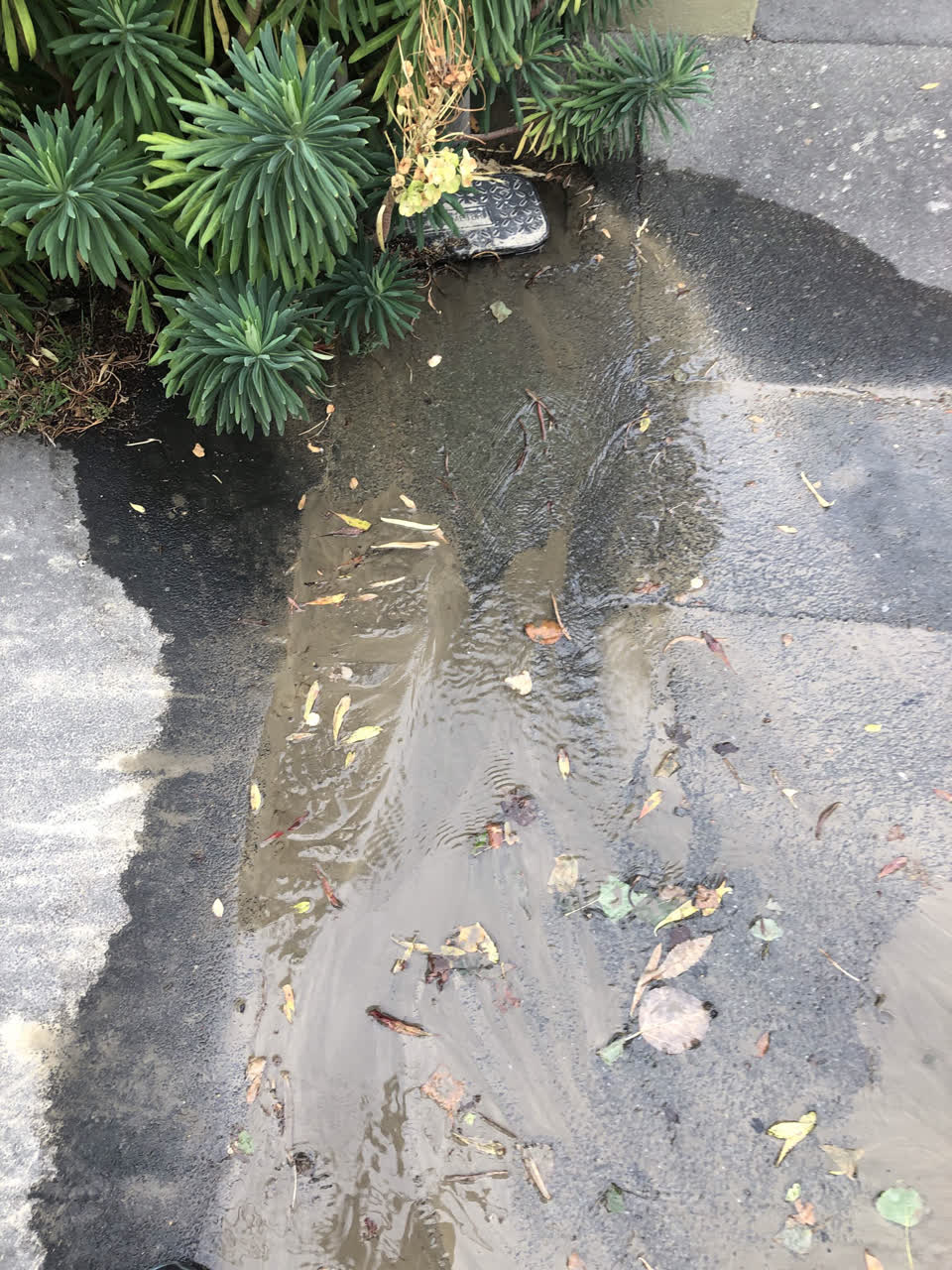 The photograph attached to this water leak report