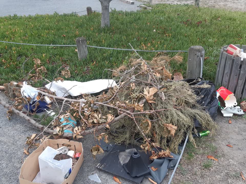 The photograph attached to this parks report