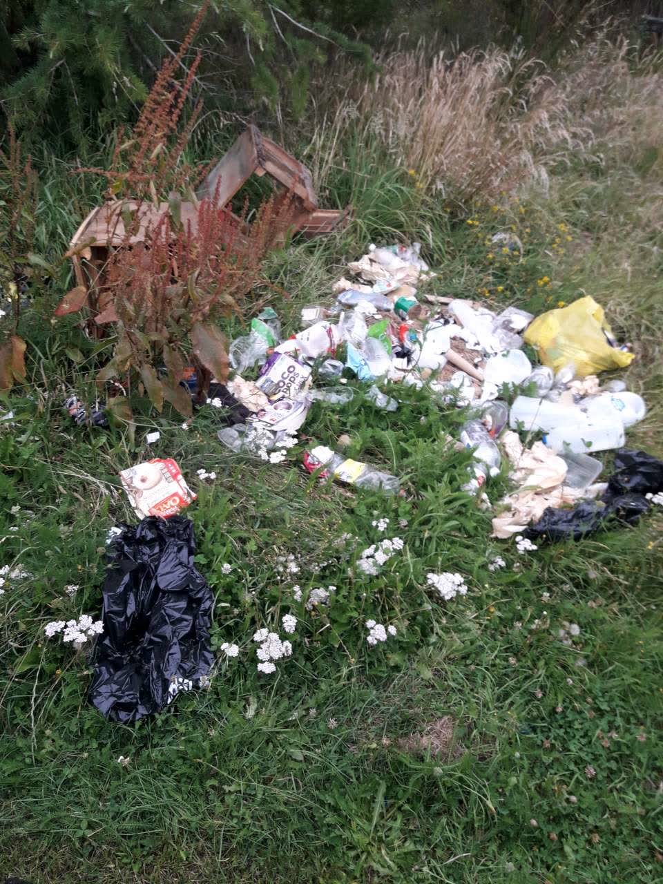 The photograph attached to this parks report