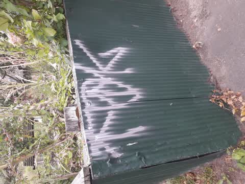 Graffiti, a report photo