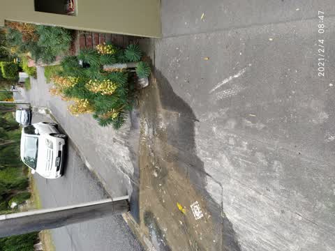Water Leak, a report photo