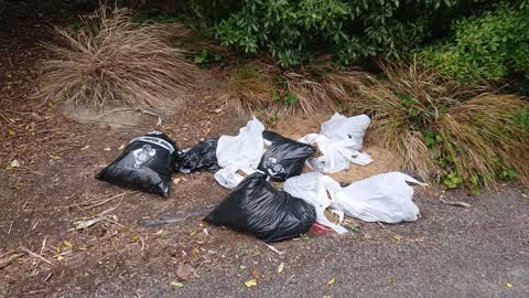 Rubbish/Recycling, a report photo