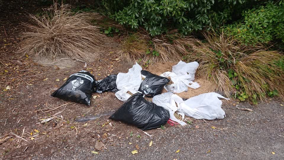 The photograph attached to this rubbish/recycling report