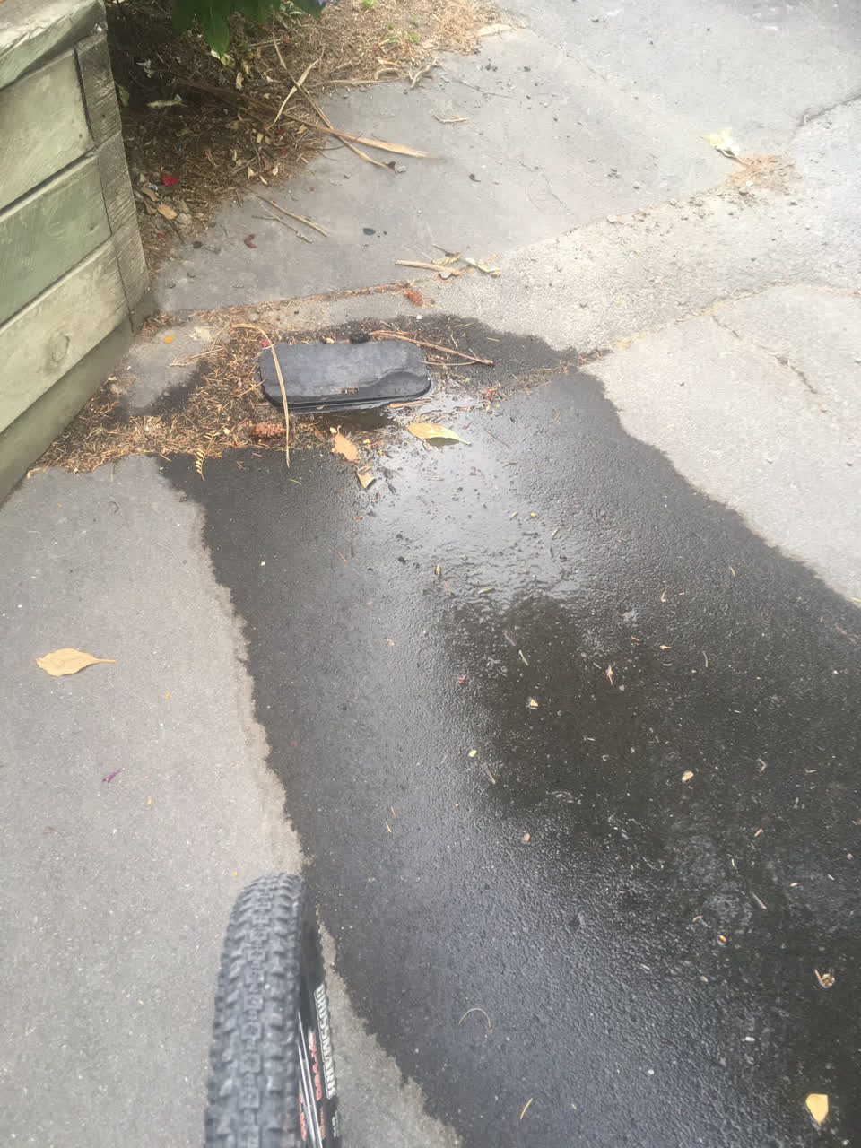 The photograph attached to this water leak report