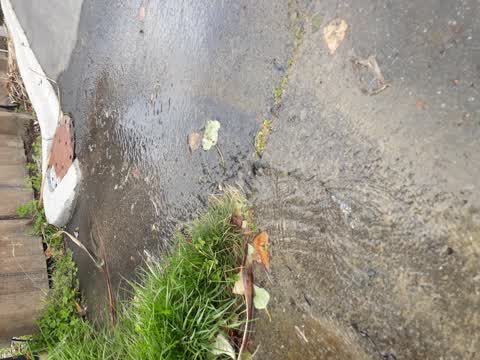 Water Leak, a report photo