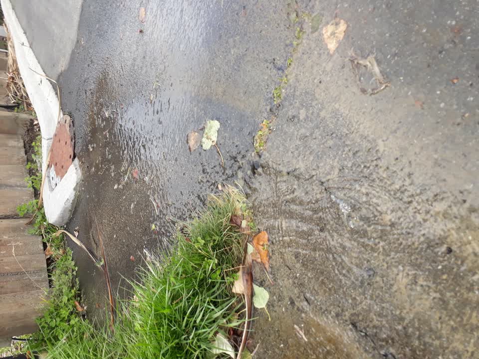 The photograph attached to this water leak report