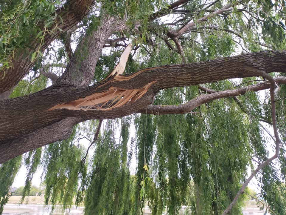 The photograph attached to this parks report