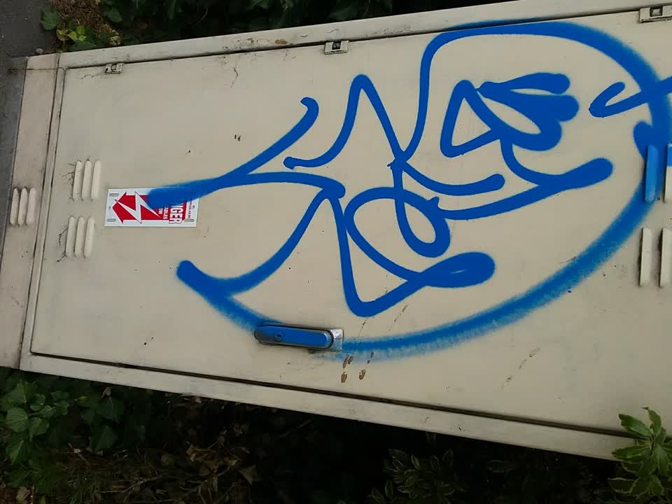 The photograph attached to this graffiti report