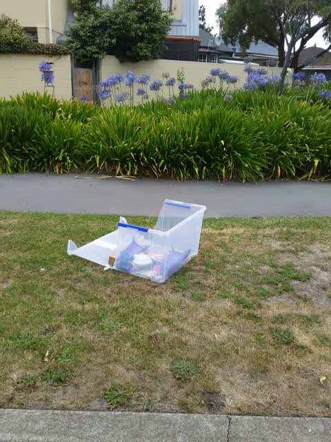 Rubbish/Recycling, a report photo
