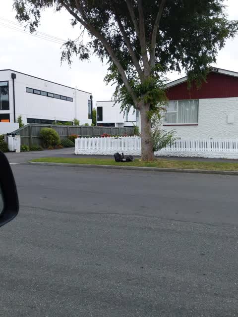 Rubbish/Recycling, a report photo
