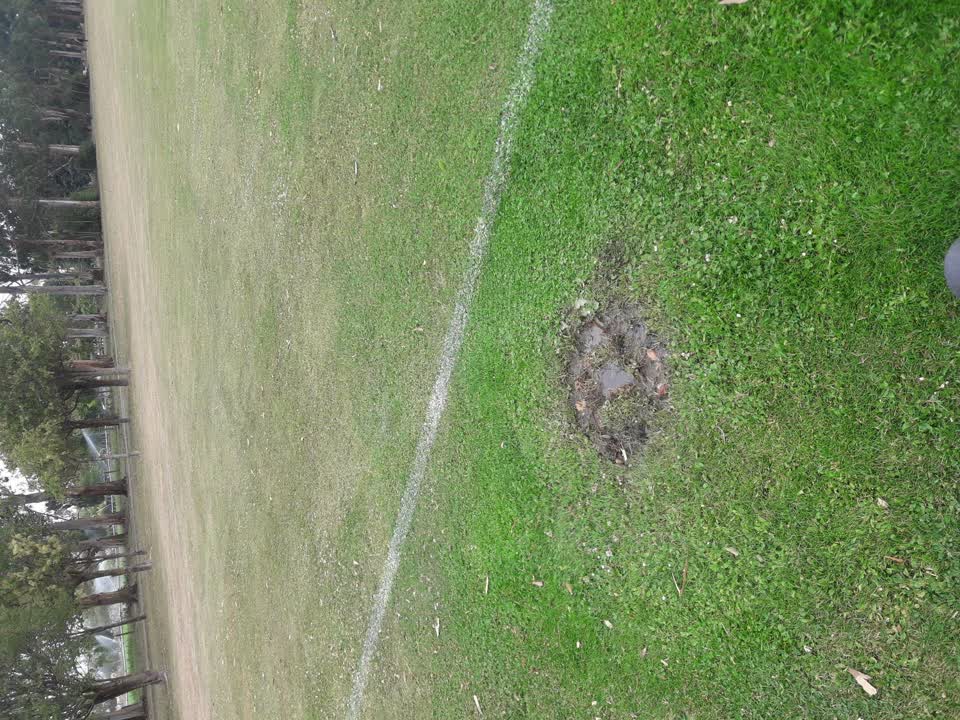 The photograph attached to this parks report