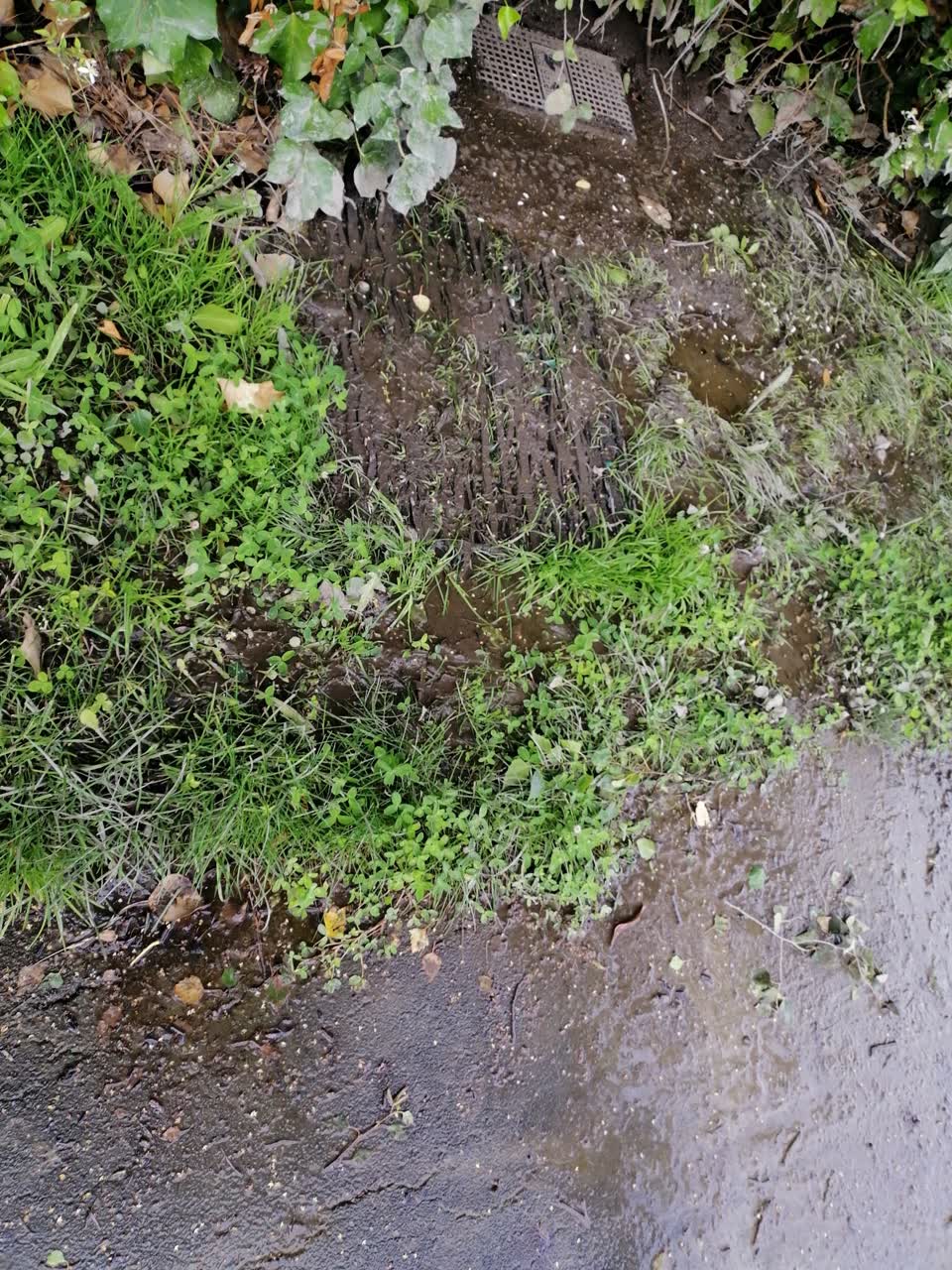 The photograph attached to this water leak report