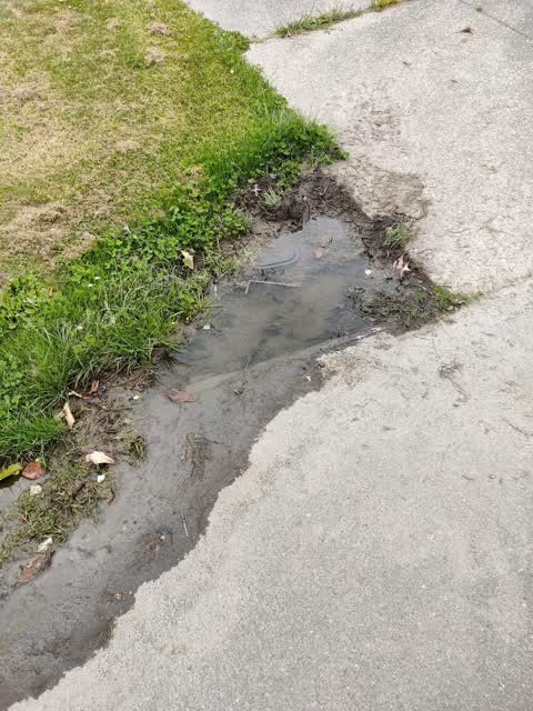 Water Leak, a report photo