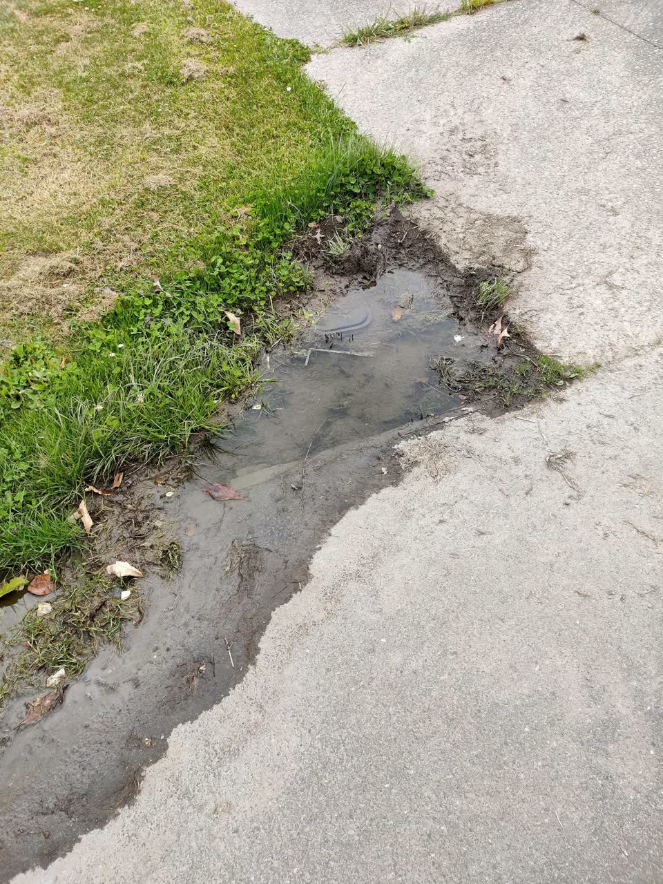 The photograph attached to this water leak report