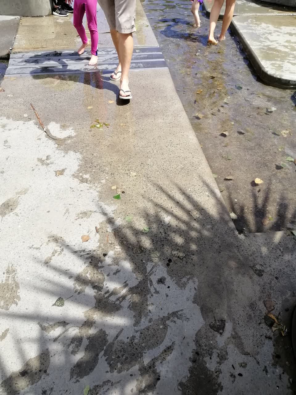 The photograph attached to this parks report