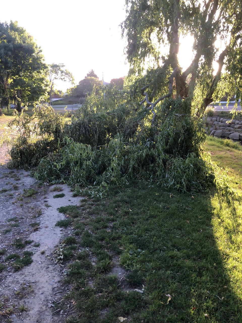 The photograph attached to this parks report