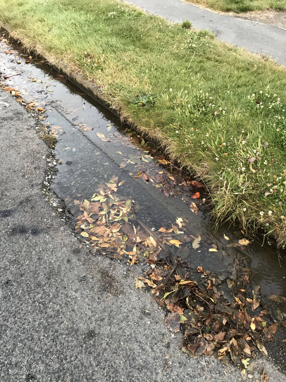 The photograph attached to this flooding report