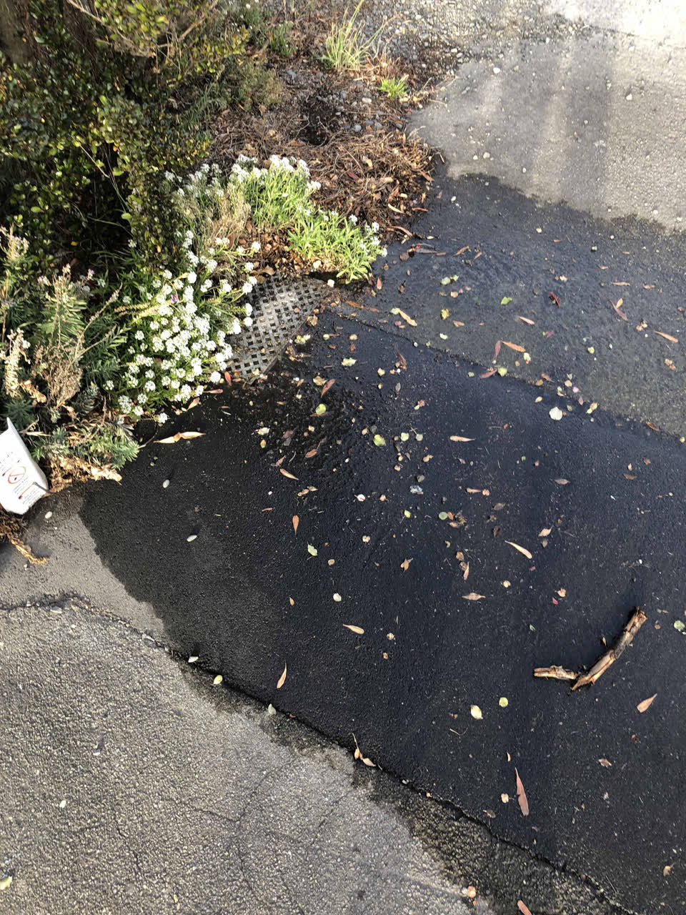The photograph attached to this water leak report