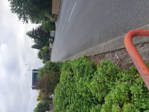 Roading/Streets, a report photo