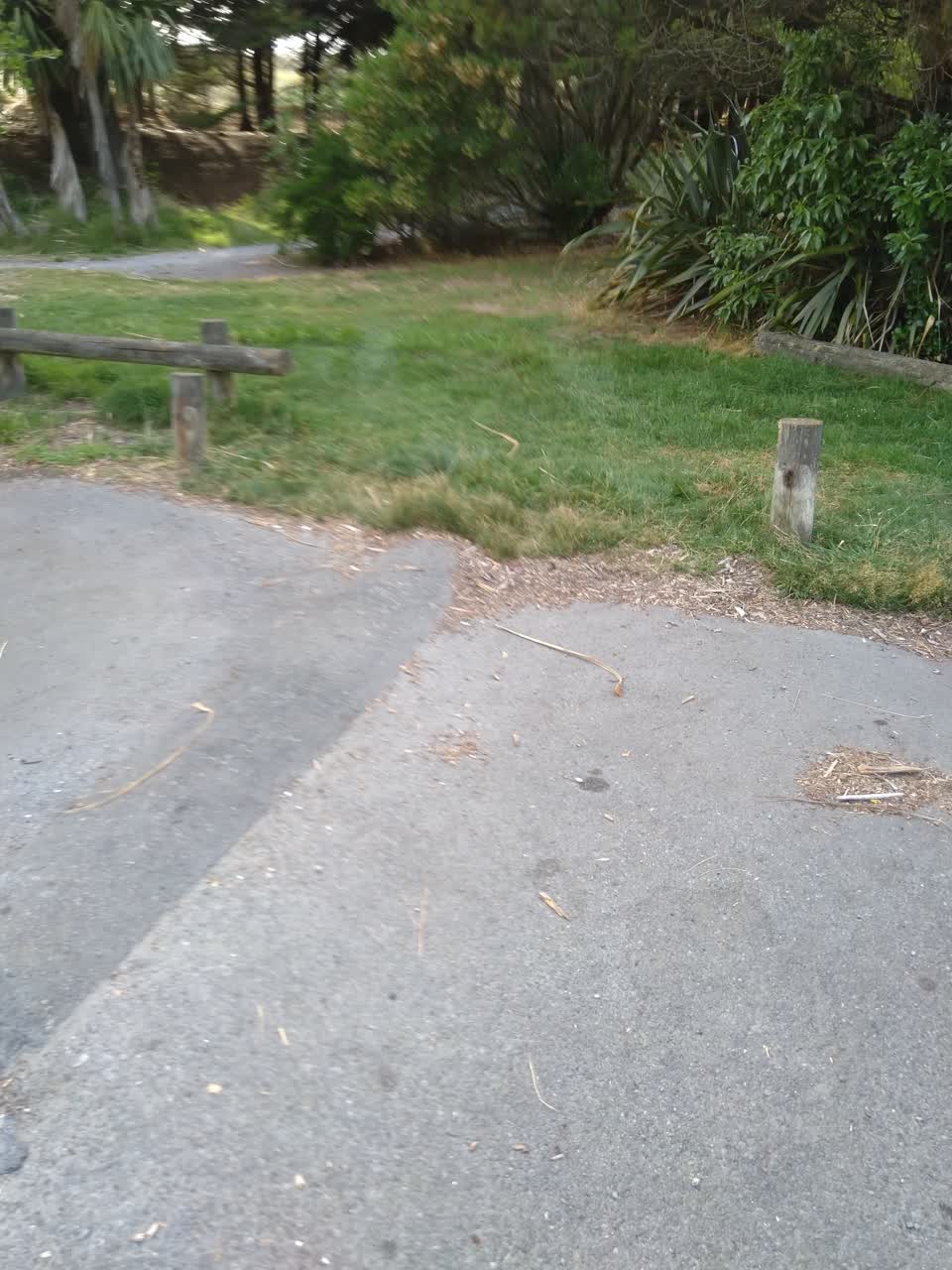 The photograph attached to this parks report