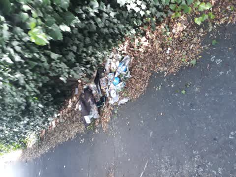 Rubbish/Recycling, a report photo