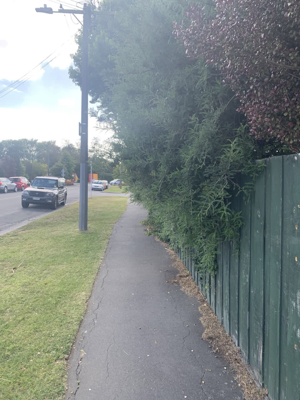 The photograph attached to this street light outage report