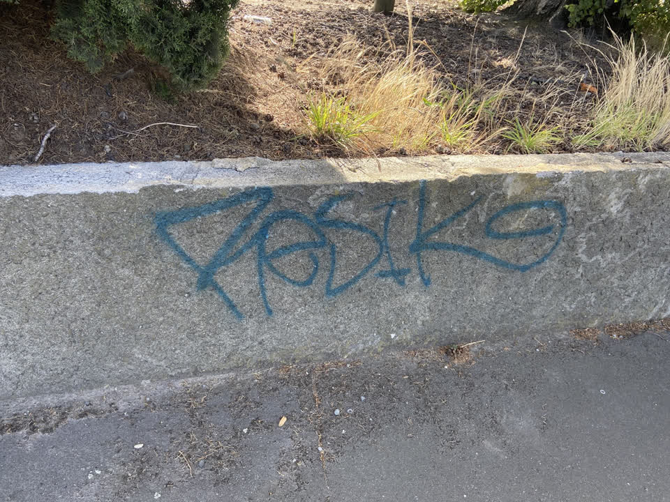 The photograph attached to this graffiti report