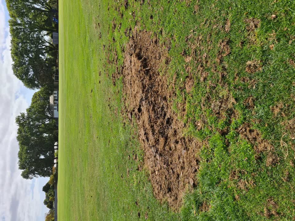 The photograph attached to this parks report