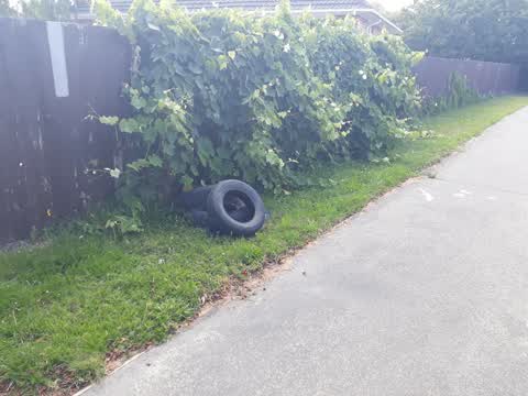 Rubbish/Recycling, a report photo