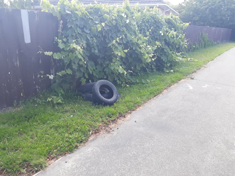 The photograph attached to this rubbish/recycling report