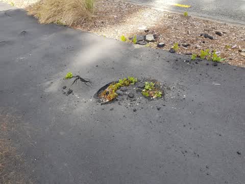 Parks, a report photo