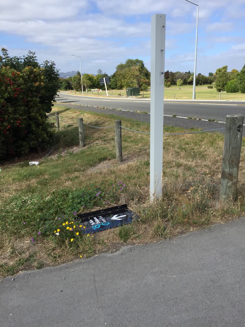 The photograph attached to this parks report