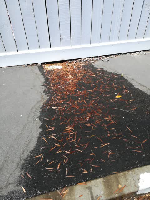 Water Leak, a report photo