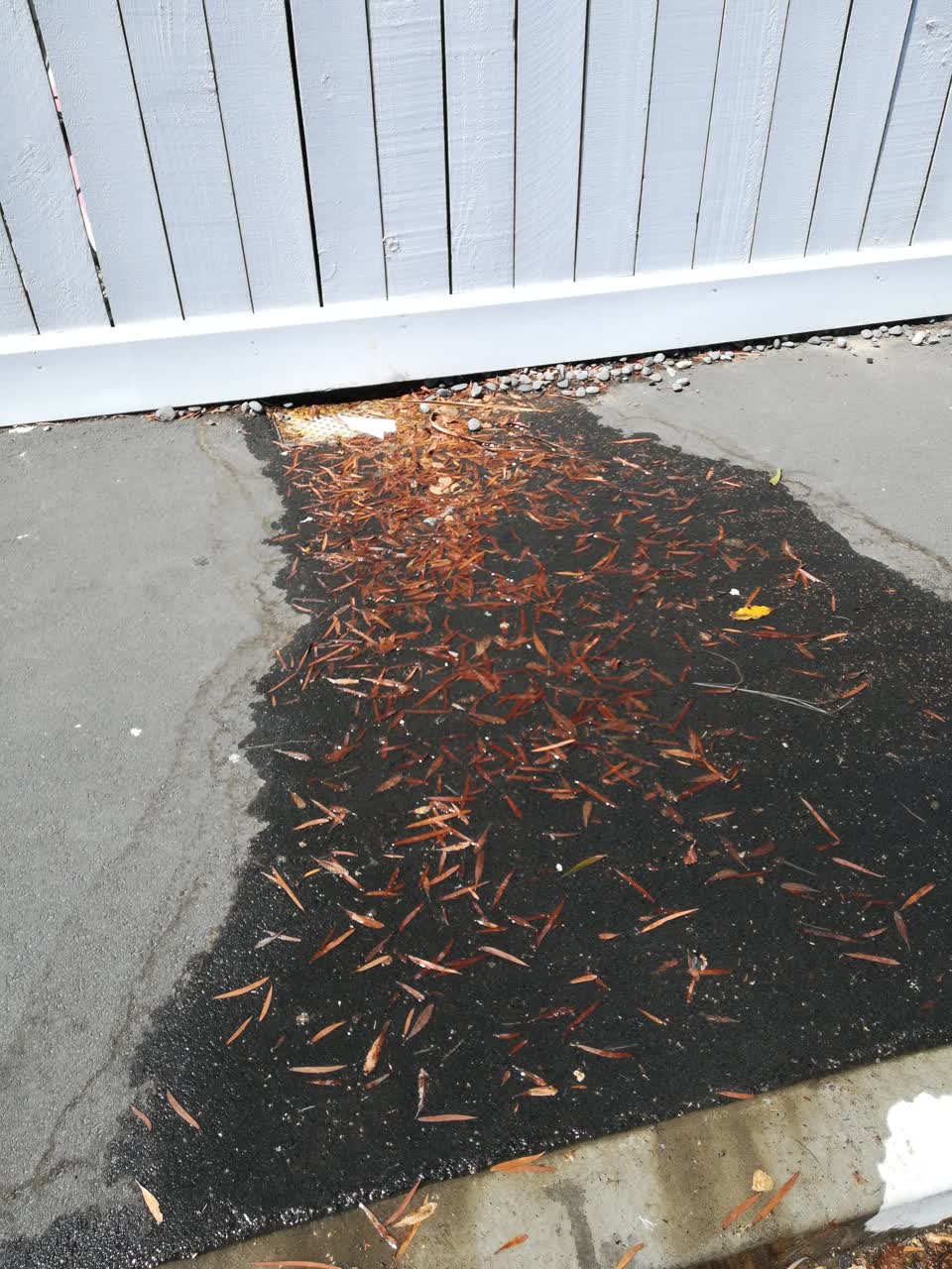 The photograph attached to this water leak report