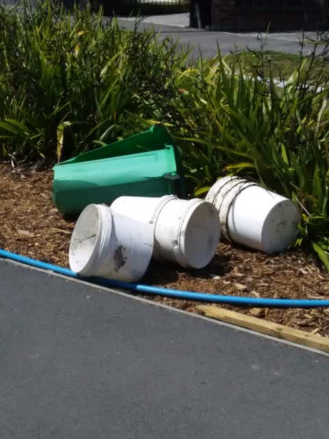 Rubbish/Recycling — a report photo