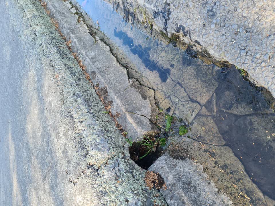 The photograph attached to this water leak report