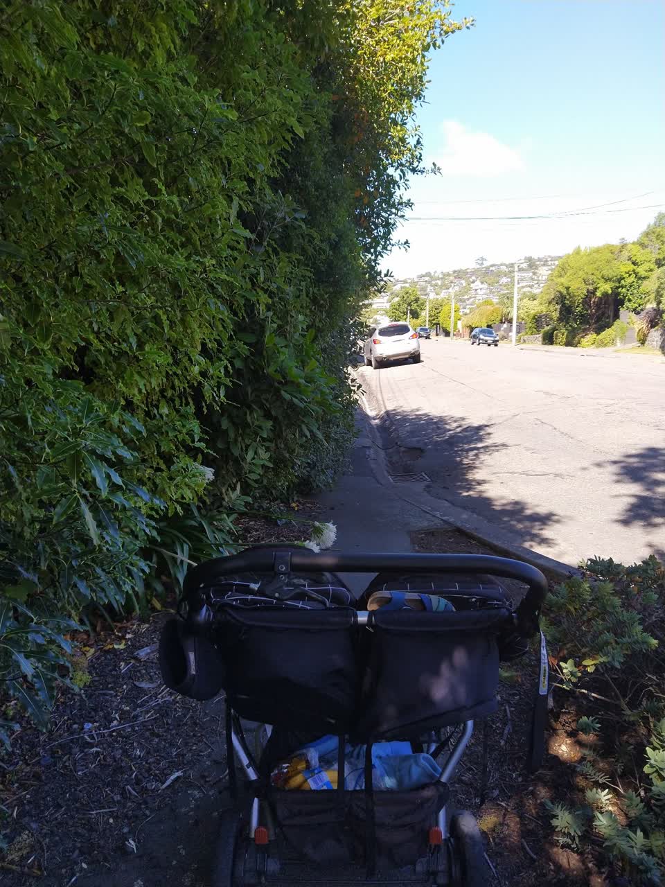 The photograph attached to this street light outage report