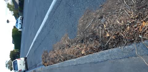 Roading/Streets, a report photo