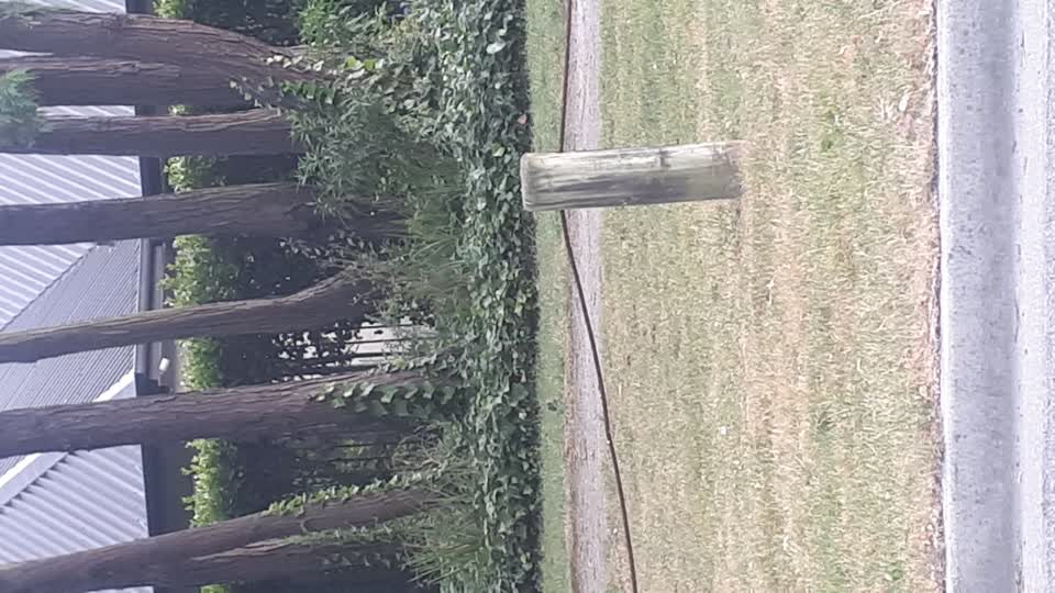 The photograph attached to this parks report