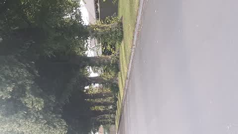Parks, a report photo