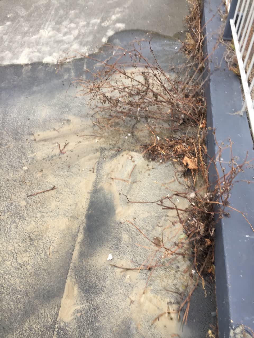 The photograph attached to this water leak report
