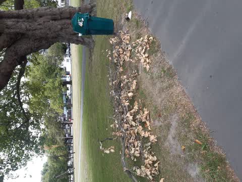 Parks, a report photo