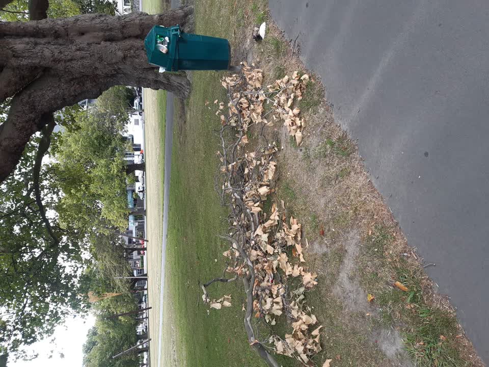 The photograph attached to this parks report