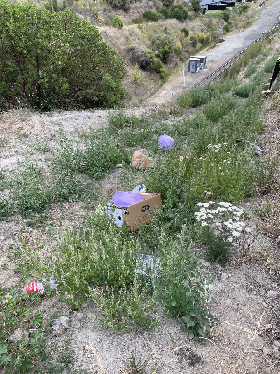 The photograph attached to this rubbish/recycling report