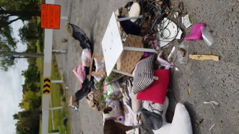 Rubbish/Recycling, a report photo