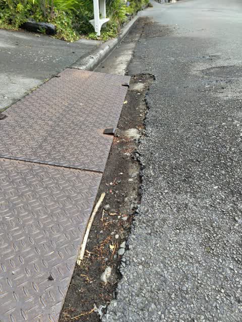 Roading/Streets, a report photo