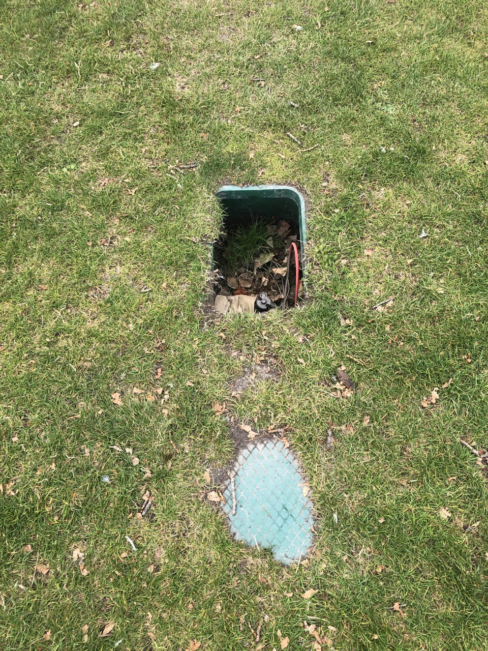 The photograph attached to this parks report