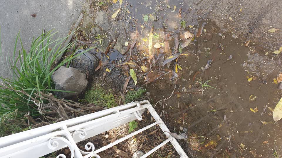 The photograph attached to this water leak report