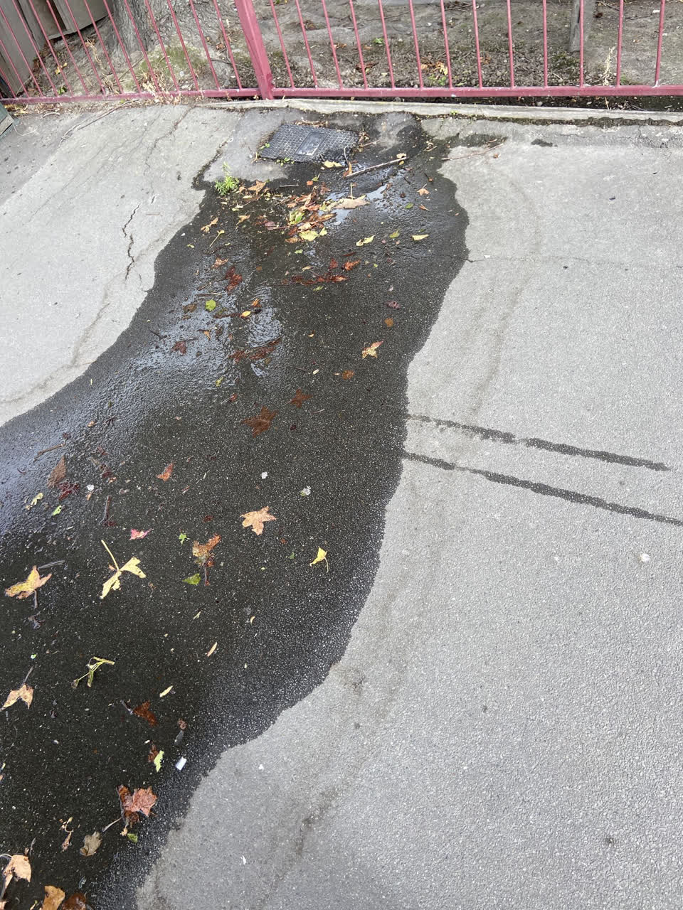 The photograph attached to this water leak report